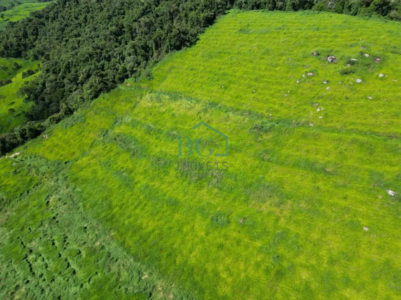 Fazenda, 1249 hectares - Foto 23