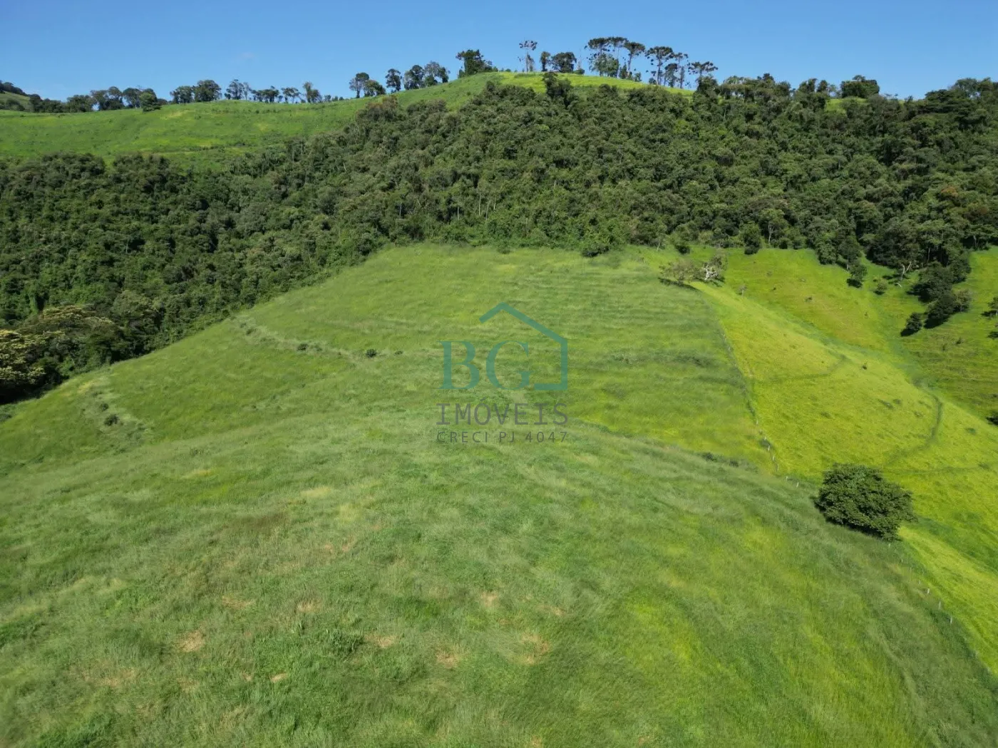 Fazenda, 1249 hectares - Foto 24