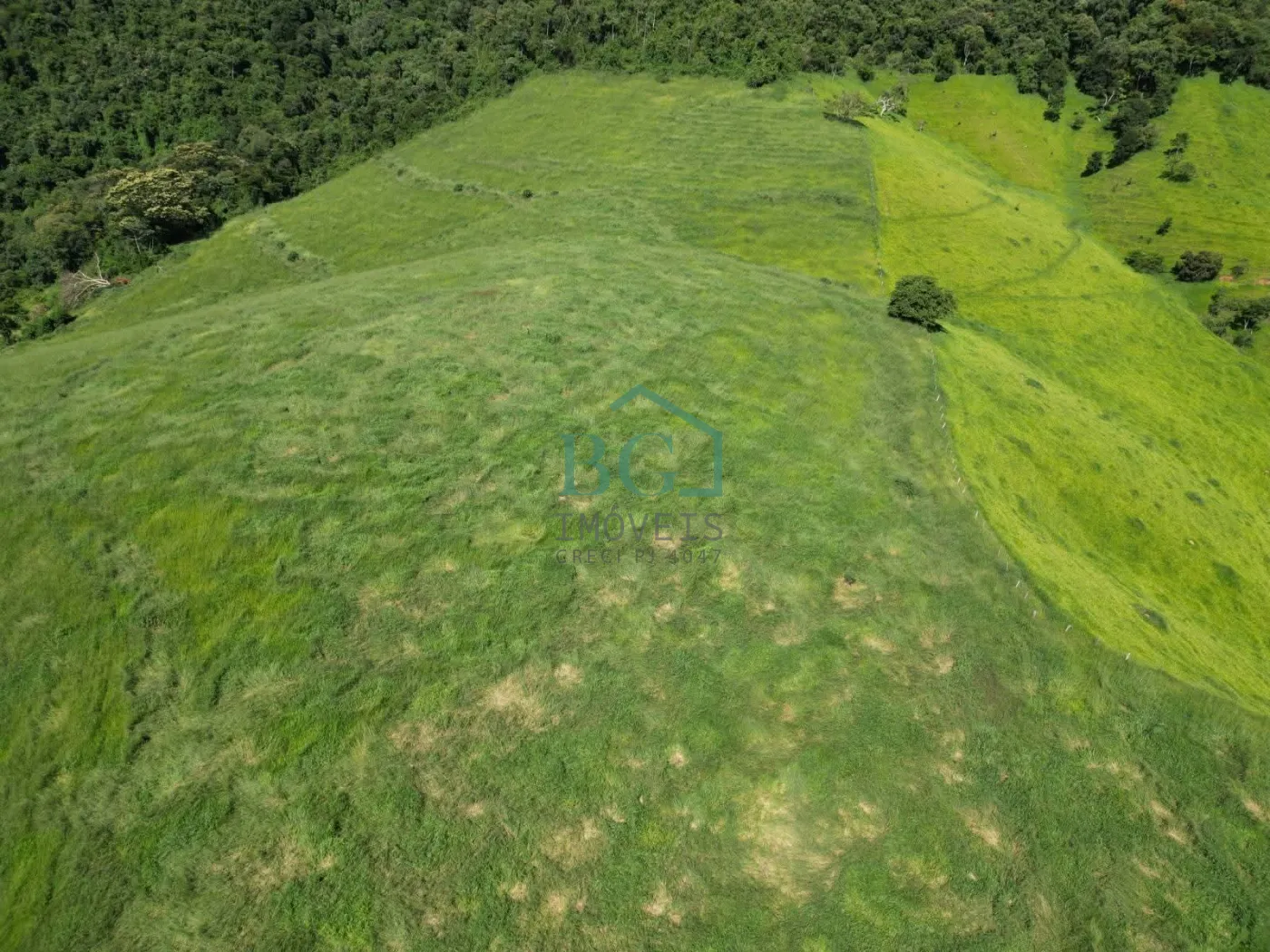 Fazenda, 1249 hectares - Foto 25
