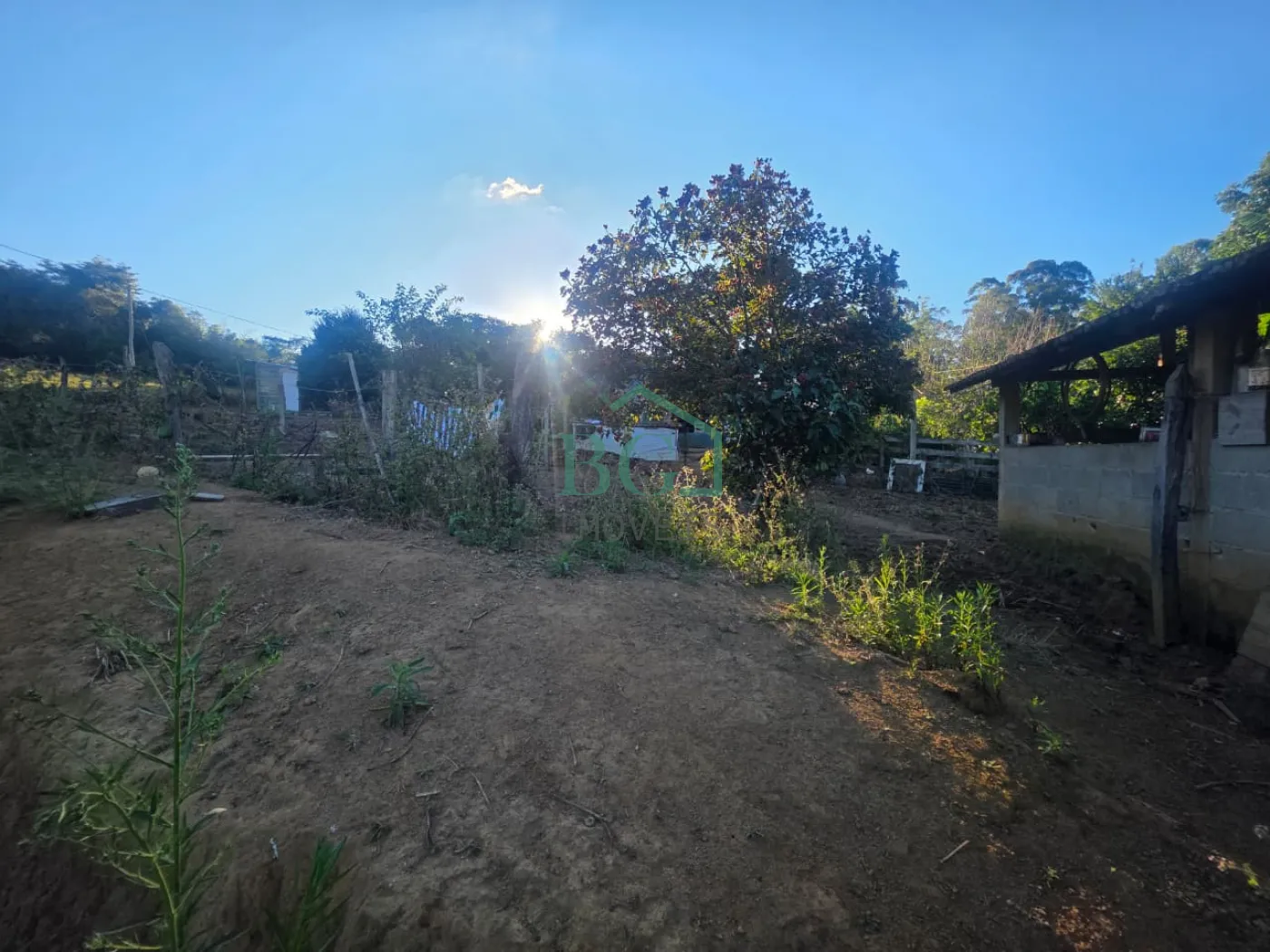 Sítio, 6 hectares - Foto 19