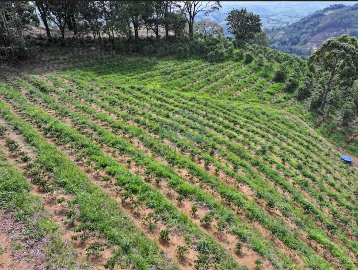Sítio, 2 hectares - Foto 18