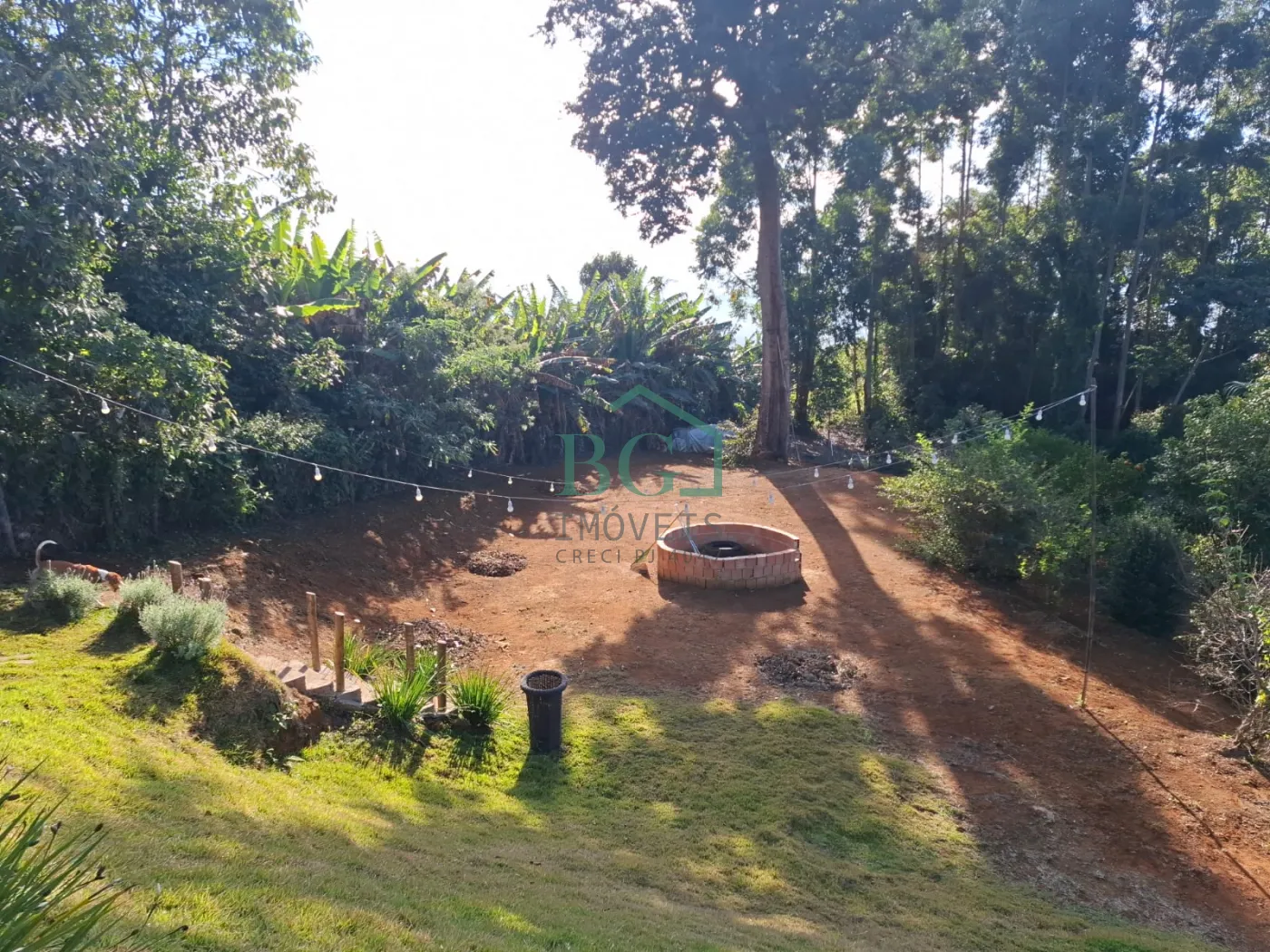 Sítio, 2 hectares - Foto 16