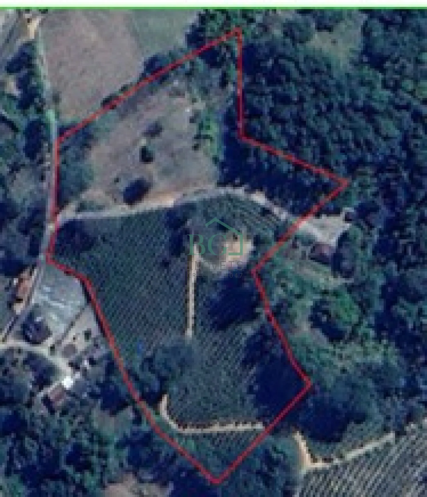 Fazenda, 2 hectares - Foto 5