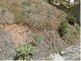 Pocos de Caldas Jardim Del Rey Terreno Venda R$550.000,00  Area do terreno 534.00m2 