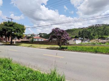 Pocos de Caldas Joao Pinheiro Terreno Venda R$2.300.000,00  Area do terreno 815.00m2 