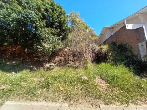 Pocos de Caldas Parque Vivaldi Leite Ribeiro Terreno Venda R$600.000,00  Area do terreno 520.00m2 
