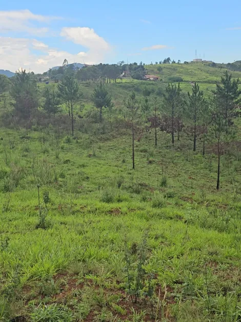 Pocos de Caldas Campo das Antas Terreno Venda R$13.200.000,00  Area do terreno 66000.00m2 