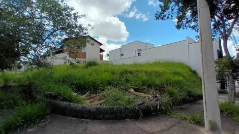 Pocos de Caldas Jardim Europa Terreno Venda R$795.000,00  Area do terreno 502.00m2 