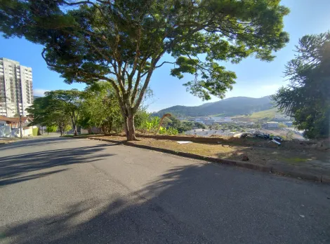 Pocos de Caldas Vila Togni Terreno Venda R$1.500.000,00  Area do terreno 760.00m2 