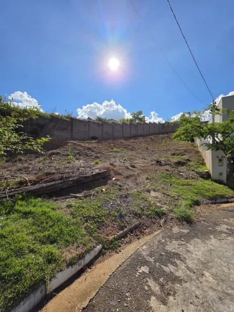 Pocos de Caldas Condominio Pitangueiras Terreno Venda R$899.000,00 Condominio R$310,00  Area do terreno 501.00m2 