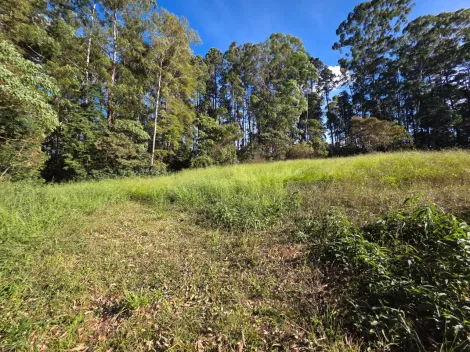 Pocos de Caldas Parque Primavera Terreno Venda R$600.000,00 Condominio R$600,00  Area do terreno 3000.00m2 
