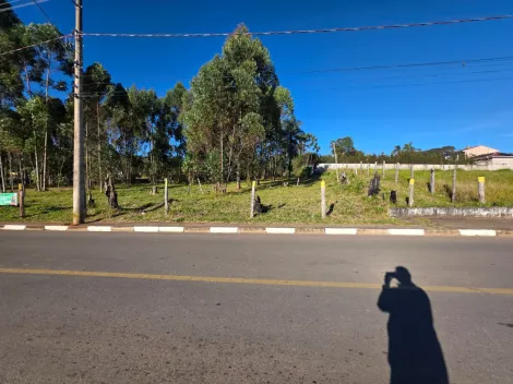 Pocos de Caldas Chacaras Pocos de Caldas Terreno Venda R$660.000,00  Area do terreno 1200.00m2 