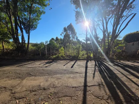 Pocos de Caldas Chacaras Pocos de Caldas Terreno Venda R$660.000,00  Area do terreno 1200.00m2 