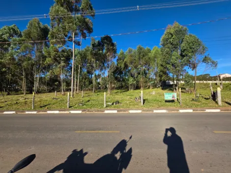 Pocos de Caldas Chacaras Pocos de Caldas Terreno Venda R$660.000,00  Area do terreno 1200.00m2 