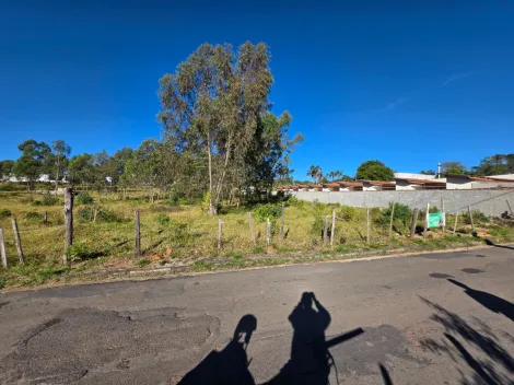 Pocos de Caldas Chacaras Pocos de Caldas Terreno Venda R$737.000,00  Area do terreno 1340.00m2 
