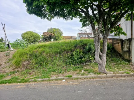 Pocos de Caldas Vila Togni Terreno Venda R$440.000,00  Area do terreno 600.00m2 