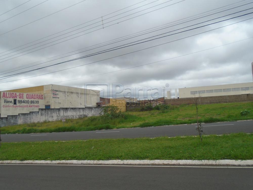 Alugar Comercial / Terreno em Franca R$ 1.600,00 - Foto 3