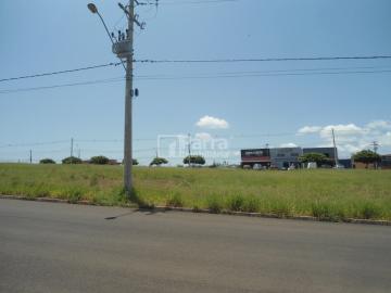 Franca Residencial Ana Dorothea Terreno Locacao R$ 1.800,00  Area do terreno 350.00m2 