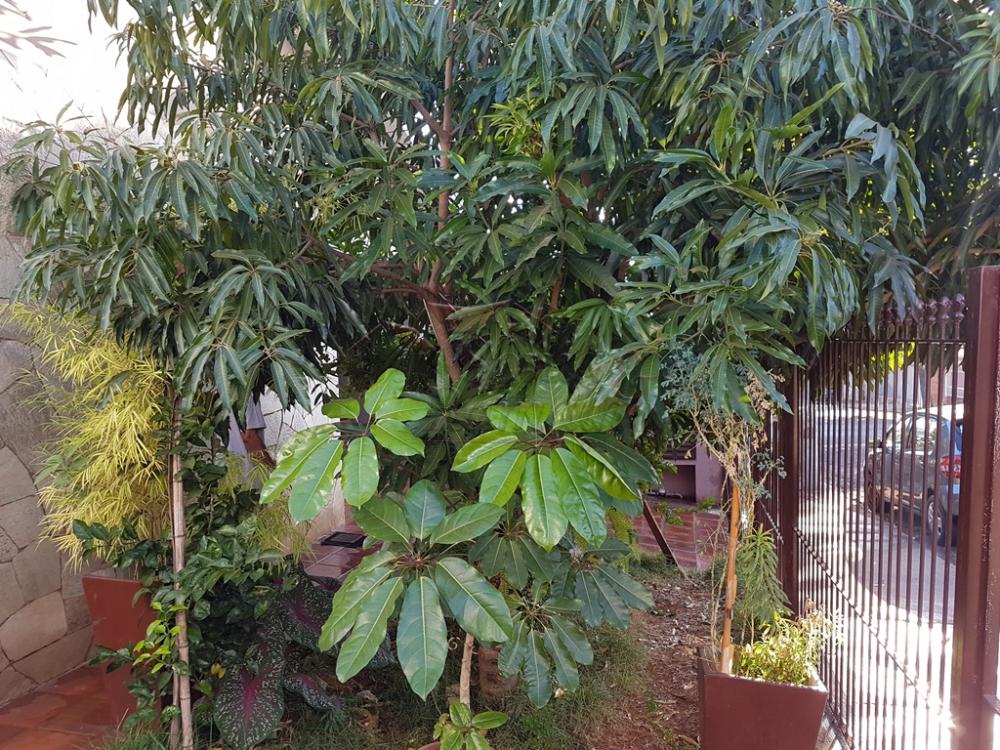 Comprar Casas Residenciais / Padr&atilde;o em Ribeir&atilde;o Preto R$ 400.000,00 - Foto 16