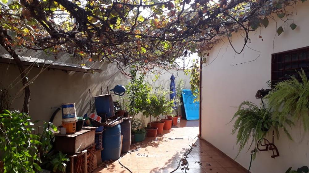 Alugar Casas Residenciais / Padr&atilde;o em Ribeir&atilde;o Preto R$ 1.000,00 - Foto 15