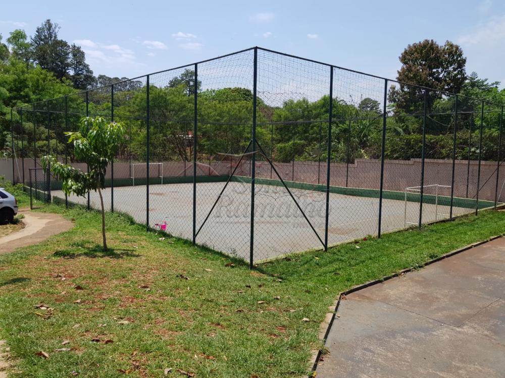 Alugar Apartamentos / Padr&atilde;o em Ribeir&atilde;o Preto R$ 1.100,00 - Foto 15