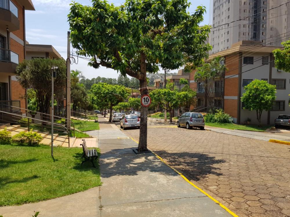 Alugar Apartamentos / Padr&atilde;o em Ribeir&atilde;o Preto R$ 1.100,00 - Foto 21