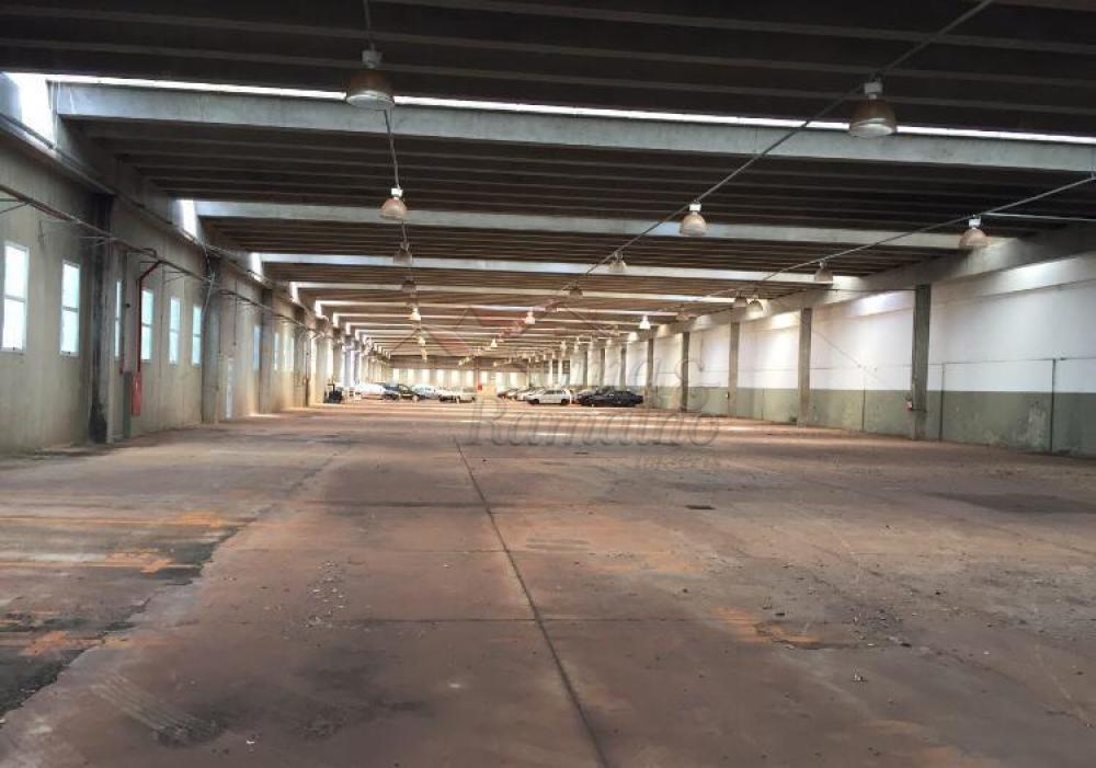 Alugar Im&oacute;veis Comerciais / Galp&atilde;o Comercial em Ribeir&atilde;o Preto R$ 50.000,00 - Foto 7