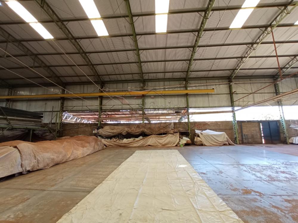 Alugar Im&oacute;veis Comerciais / Galp&atilde;o Comercial em Ribeir&atilde;o Preto R$ 35.000,00 - Foto 10