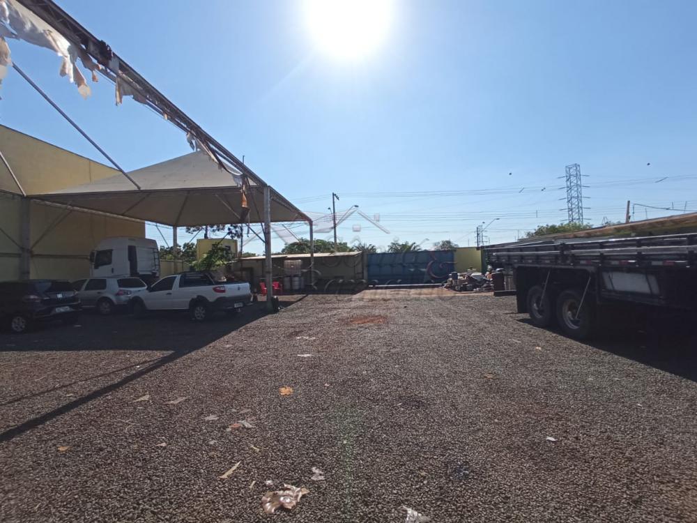 Alugar Im&oacute;veis Comerciais / Galp&atilde;o Comercial em Ribeir&atilde;o Preto R$ 35.000,00 - Foto 12