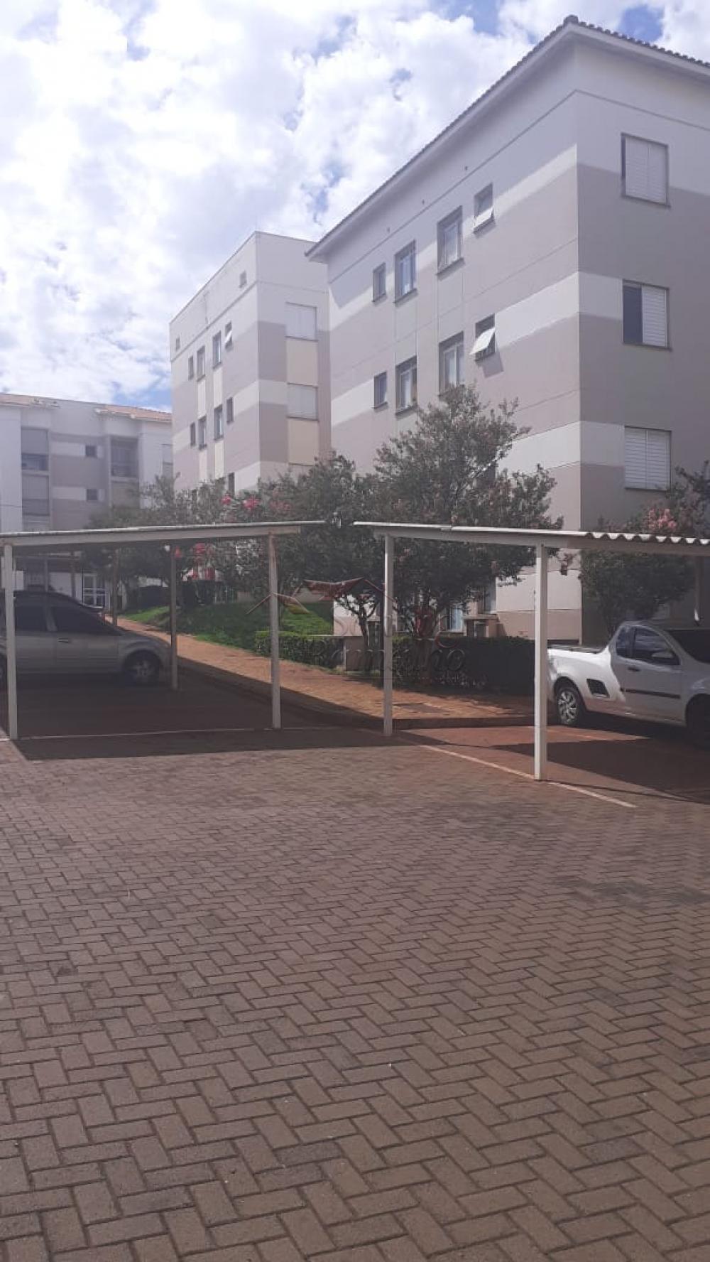 Alugar Apartamentos / Padr&atilde;o em Ribeir&atilde;o Preto R$ 1.000,00 - Foto 5