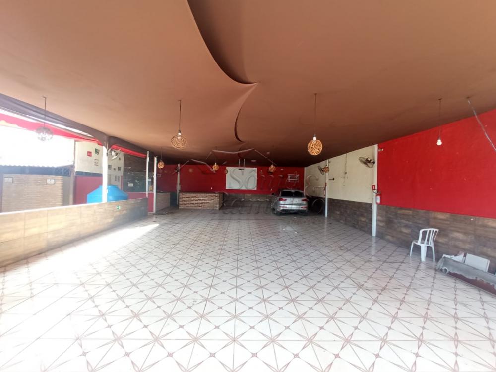Alugar Im&oacute;veis Comerciais / Casa Comercial em Ribeir&atilde;o Preto R$ 4.500,00 - Foto 32