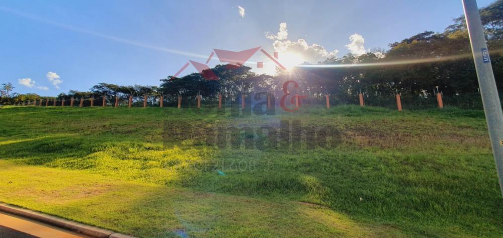 Comprar Terrenos / Condom&iacute;nio em Bonfim Paulista R$ 570.000,00 - Foto 5