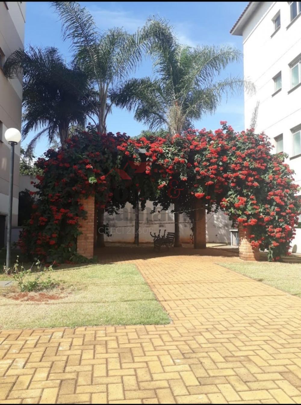 Alugar Apartamentos / Padr&atilde;o em Ribeir&atilde;o Preto R$ 800,00 - Foto 19