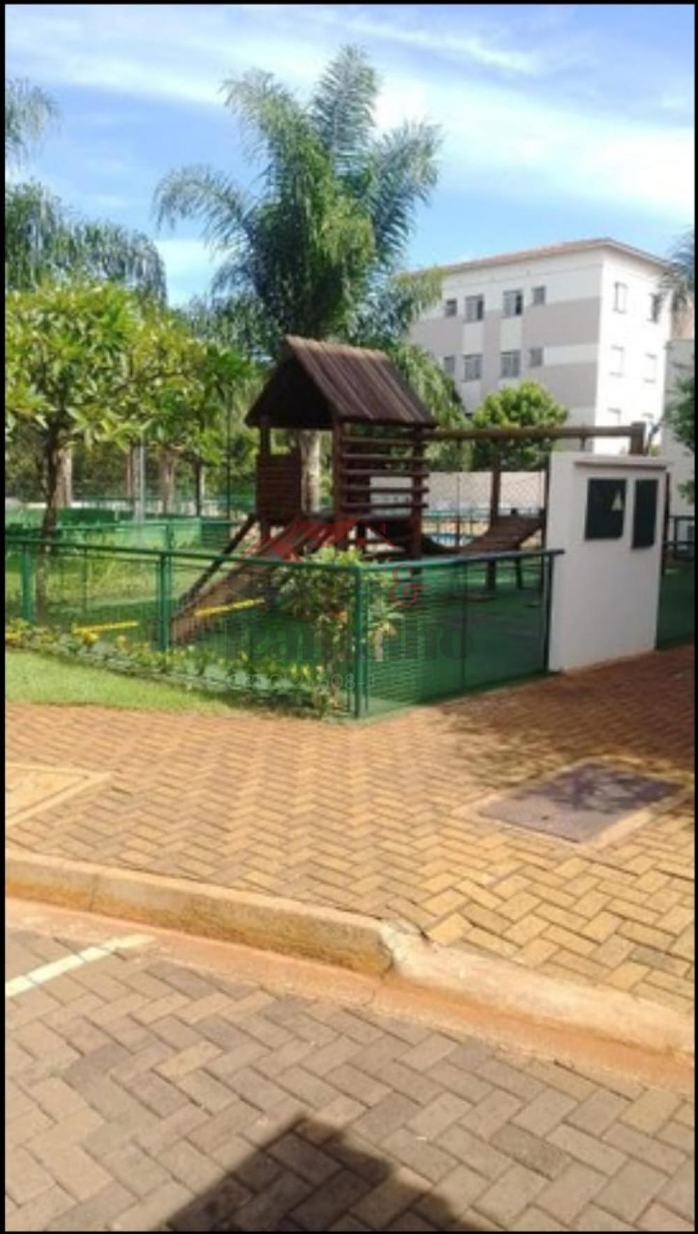 Alugar Apartamentos / Padr&atilde;o em Ribeir&atilde;o Preto R$ 800,00 - Foto 20