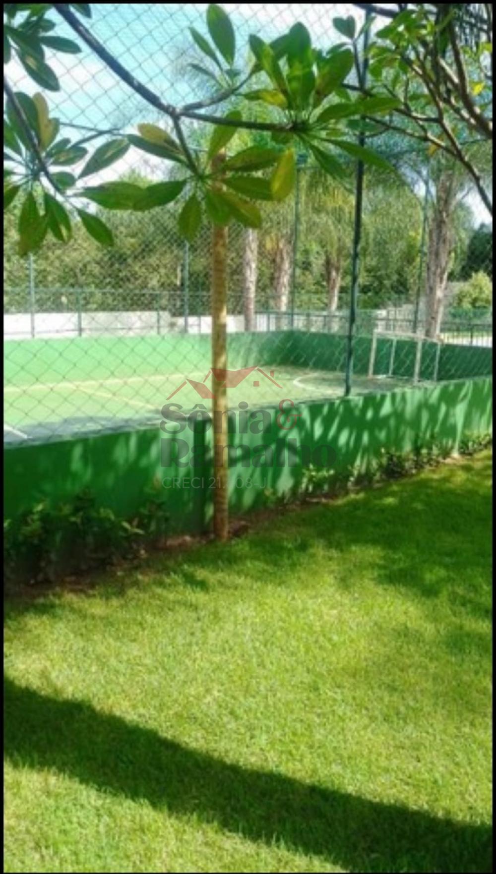 Alugar Apartamentos / Padr&atilde;o em Ribeir&atilde;o Preto R$ 800,00 - Foto 21