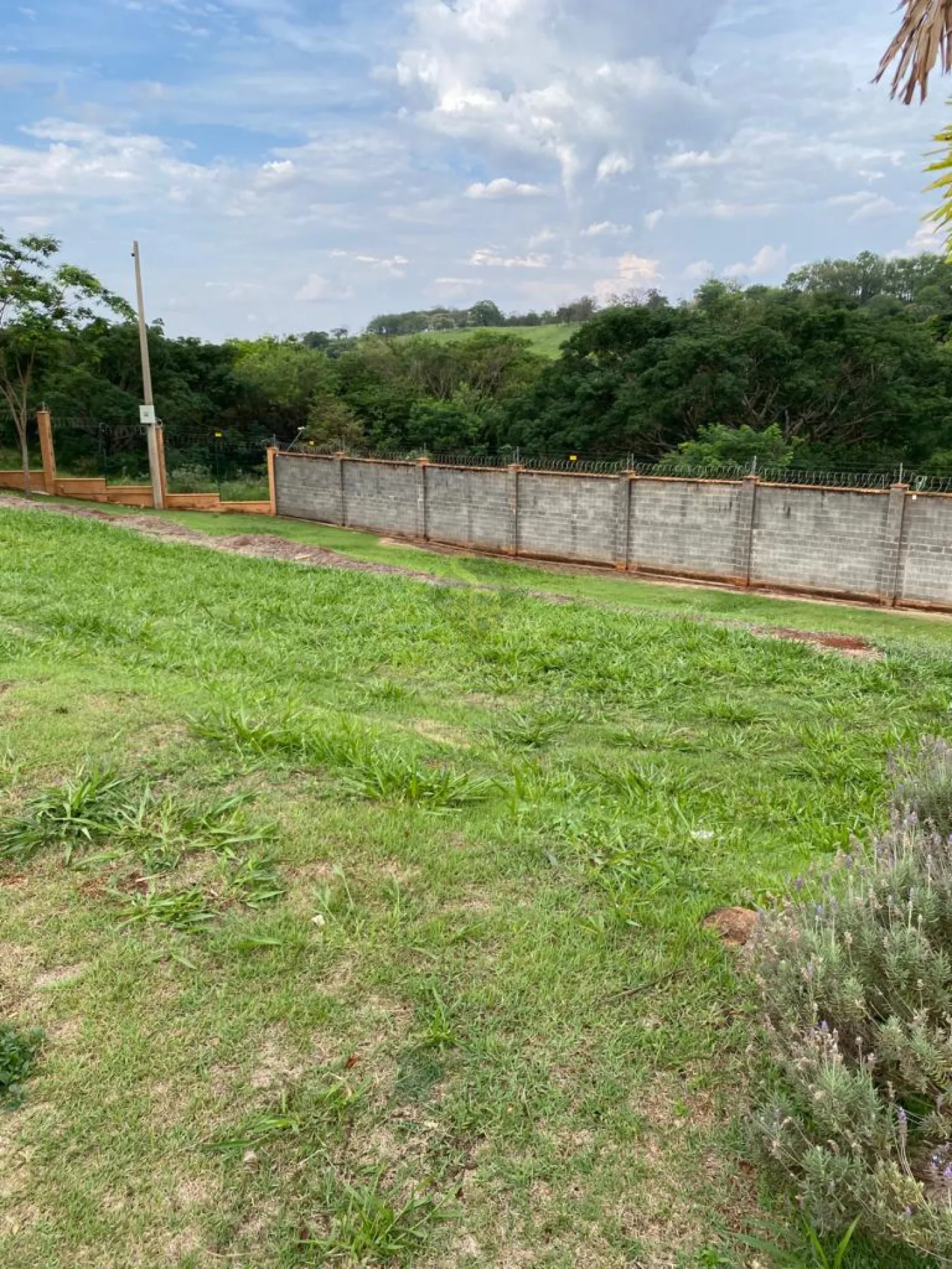 Comprar Terrenos / Condom&iacute;nio em Bonfim Paulista R$ 690.000,00 - Foto 1