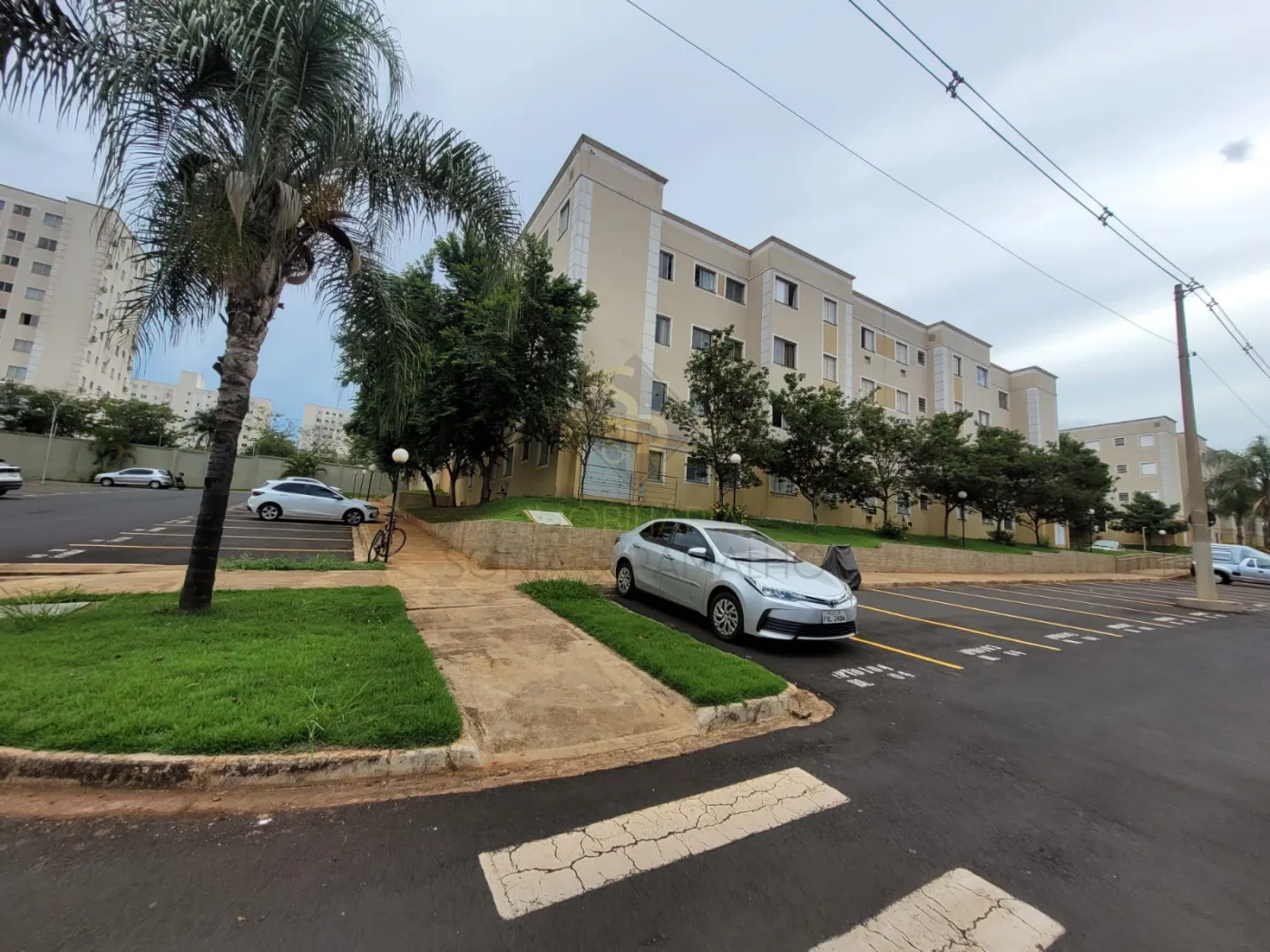 Alugar Apartamentos / Padr&atilde;o em Ribeir&atilde;o Preto R$ 1.200,00 - Foto 1