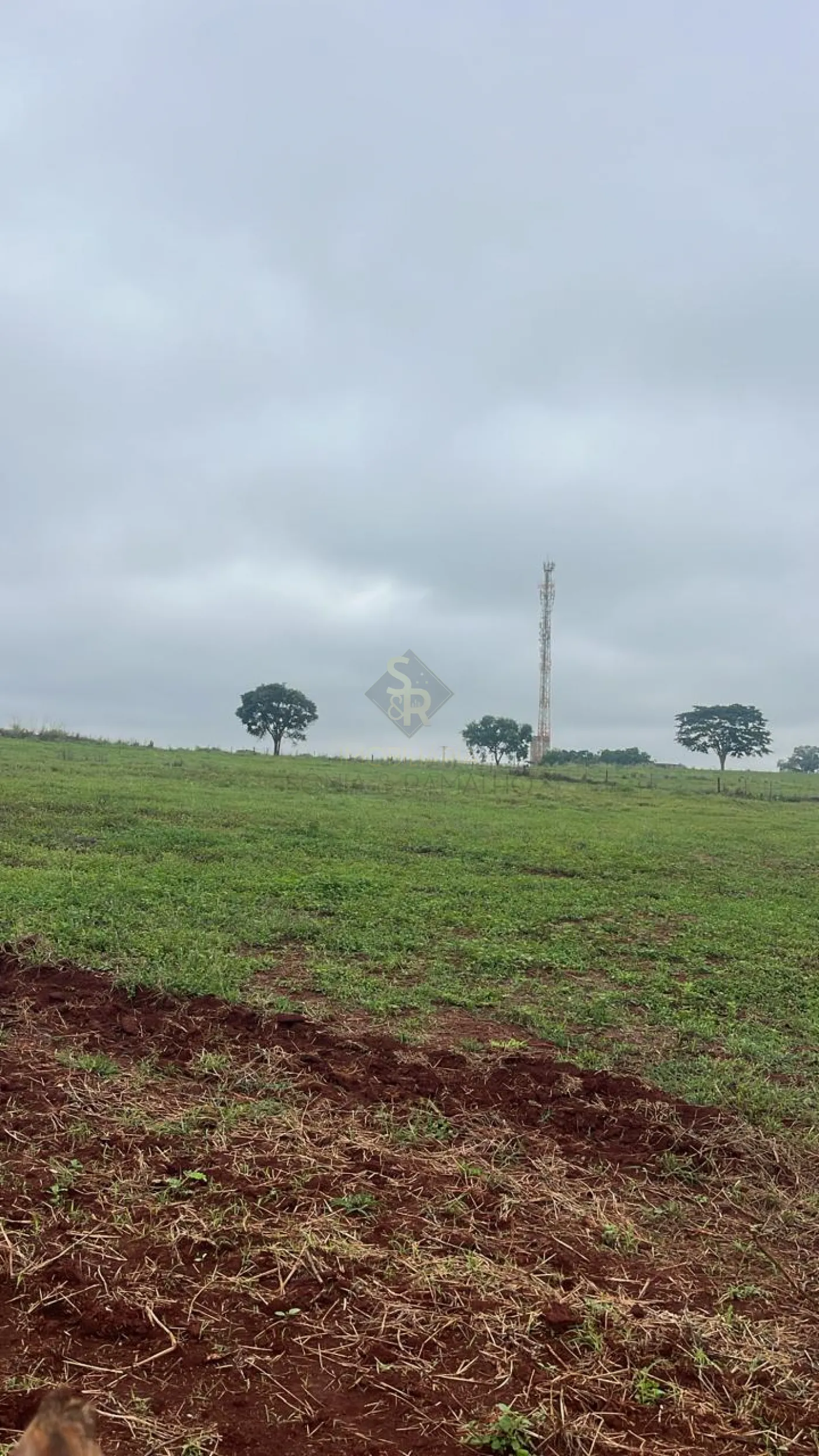 Comprar Terrenos / LoteTerreno em Ribeir&atilde;o Preto R$ 26.000.000,00 - Foto 3