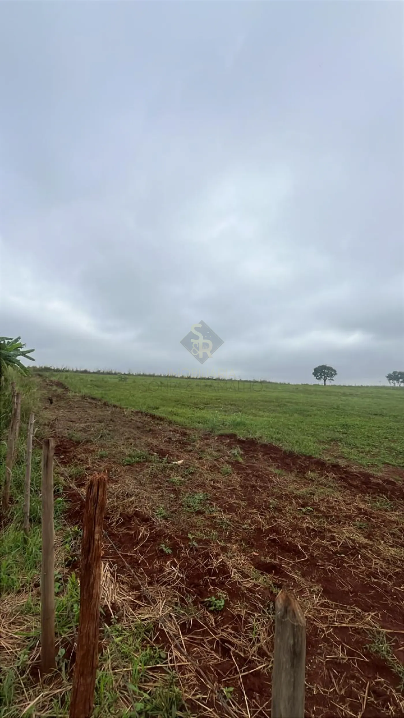 Comprar Terrenos / LoteTerreno em Ribeir&atilde;o Preto R$ 26.000.000,00 - Foto 4