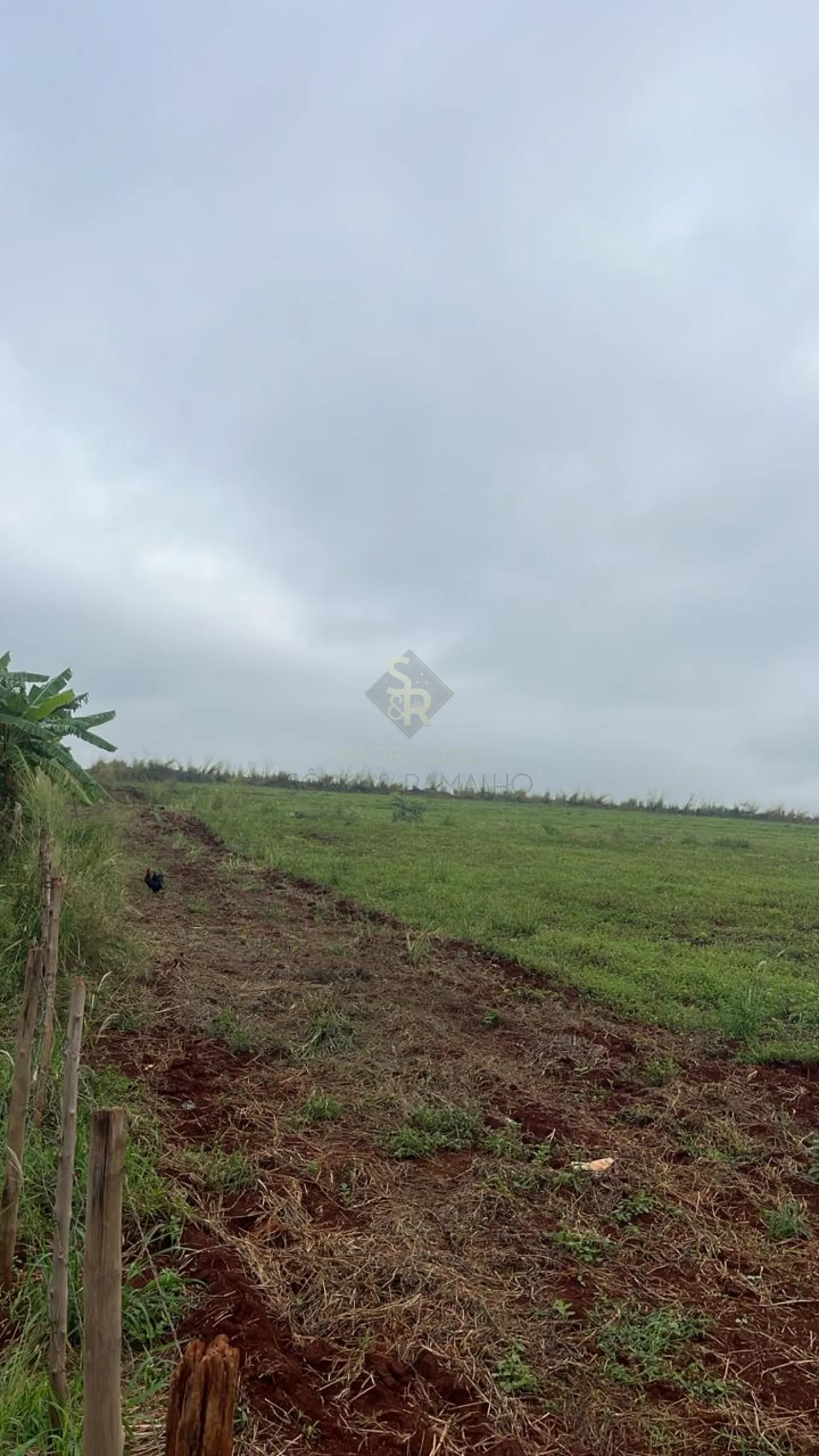 Comprar Terrenos / LoteTerreno em Ribeir&atilde;o Preto R$ 26.000.000,00 - Foto 5