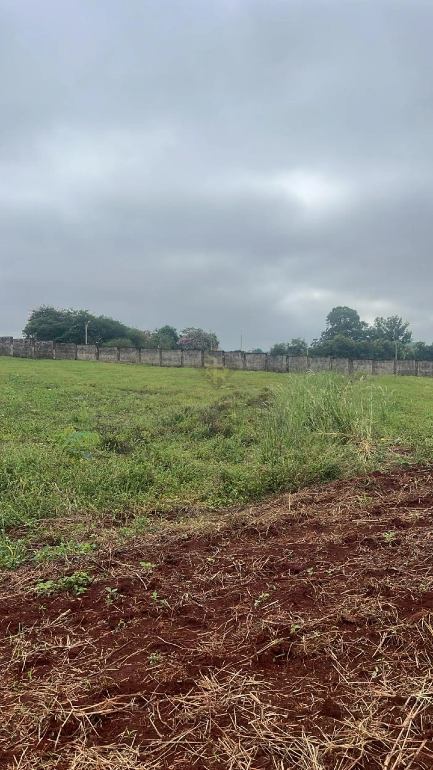 Comprar Terrenos / LoteTerreno em Ribeir&atilde;o Preto R$ 26.000.000,00 - Foto 6