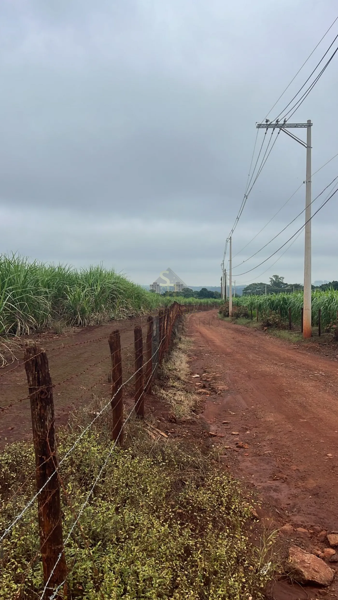 Comprar Terrenos / LoteTerreno em Ribeir&atilde;o Preto R$ 27.000.000,00 - Foto 2