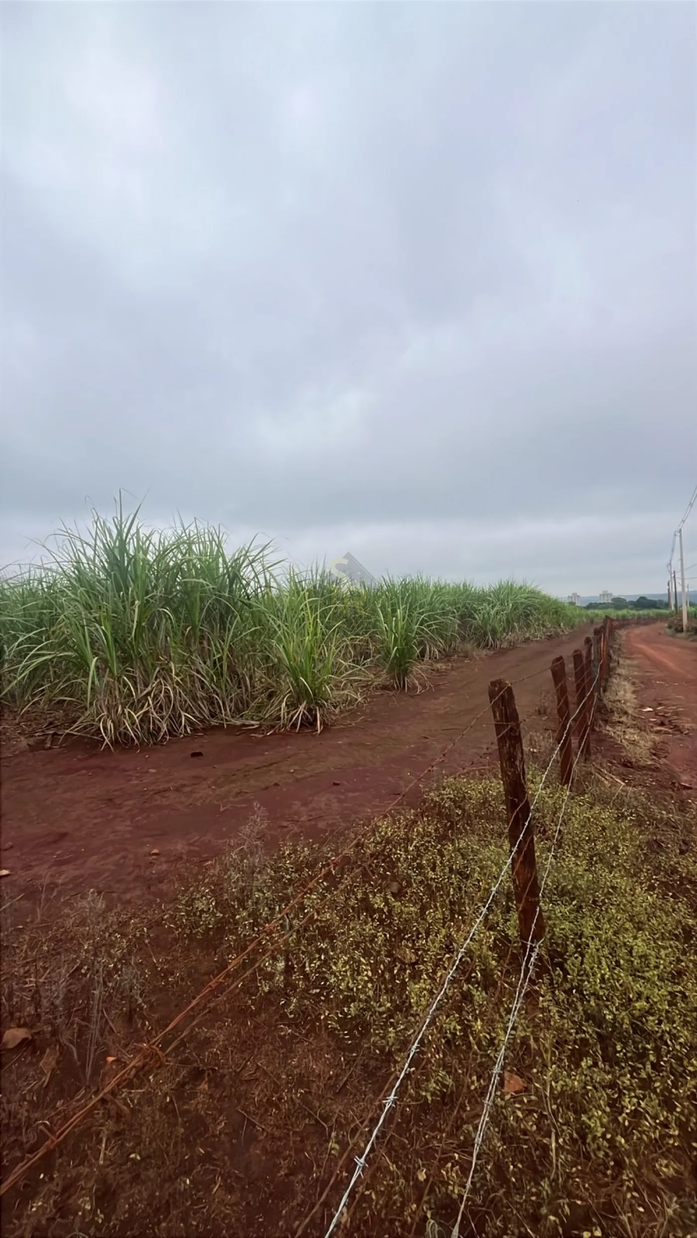 Comprar Terrenos / LoteTerreno em Ribeir&atilde;o Preto R$ 27.000.000,00 - Foto 3