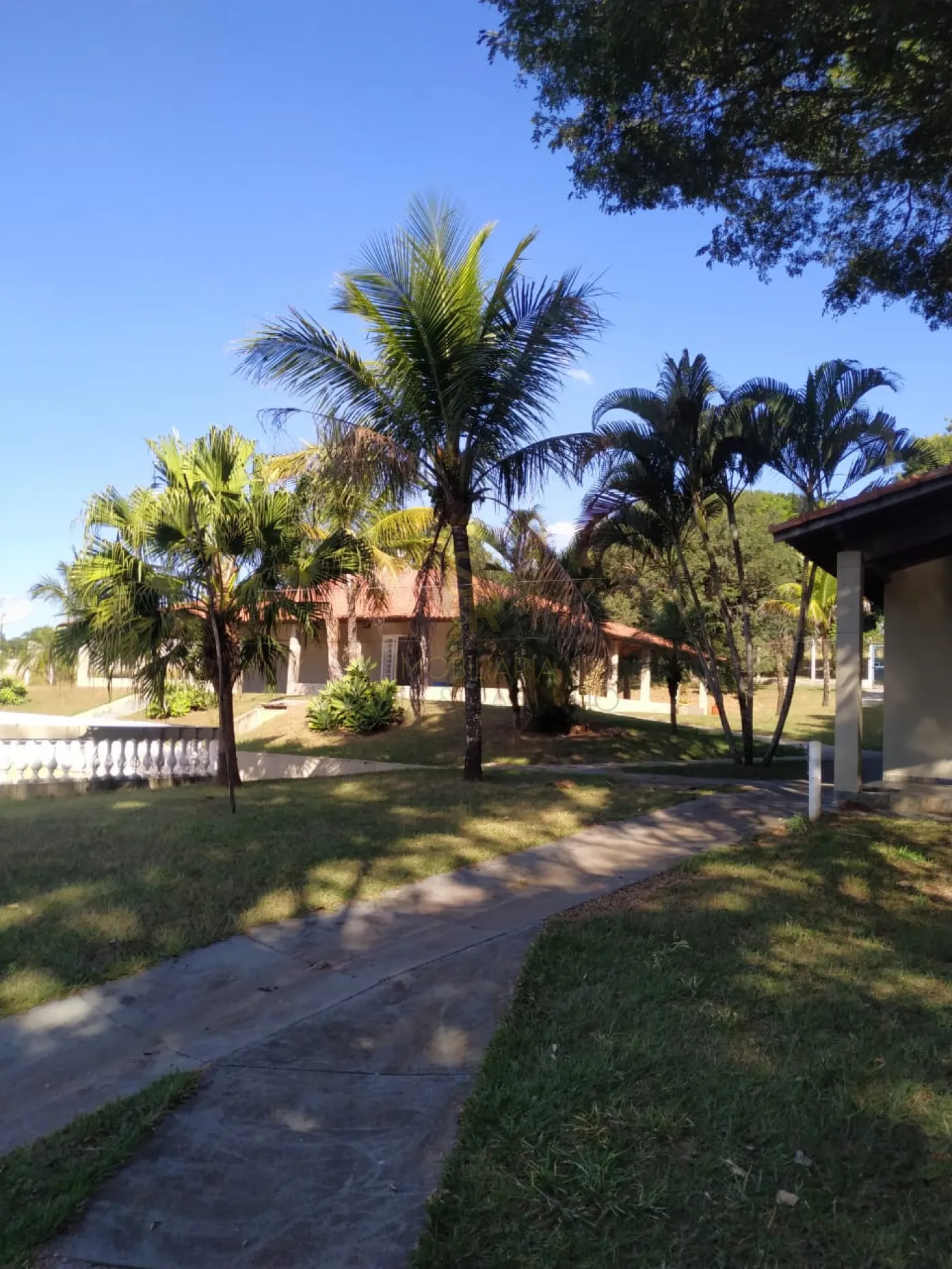 Comprar Ch&aacute;caras/Im&oacute;veis Rurais / RanchoS&iacute;tio em Patroc&iacute;nio Paulista R$ 1.485.000,00 - Foto 5