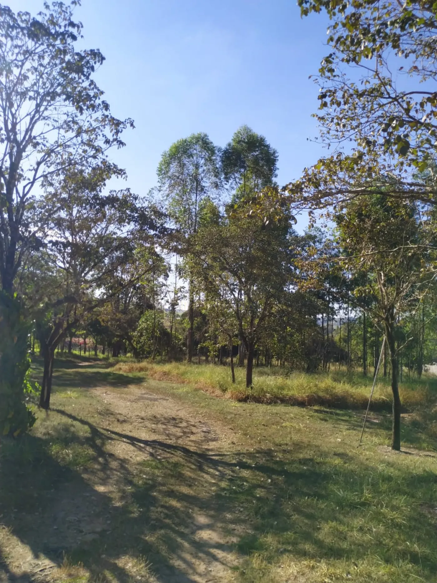 Comprar Ch&aacute;caras/Im&oacute;veis Rurais / RanchoS&iacute;tio em Patroc&iacute;nio Paulista R$ 1.485.000,00 - Foto 7