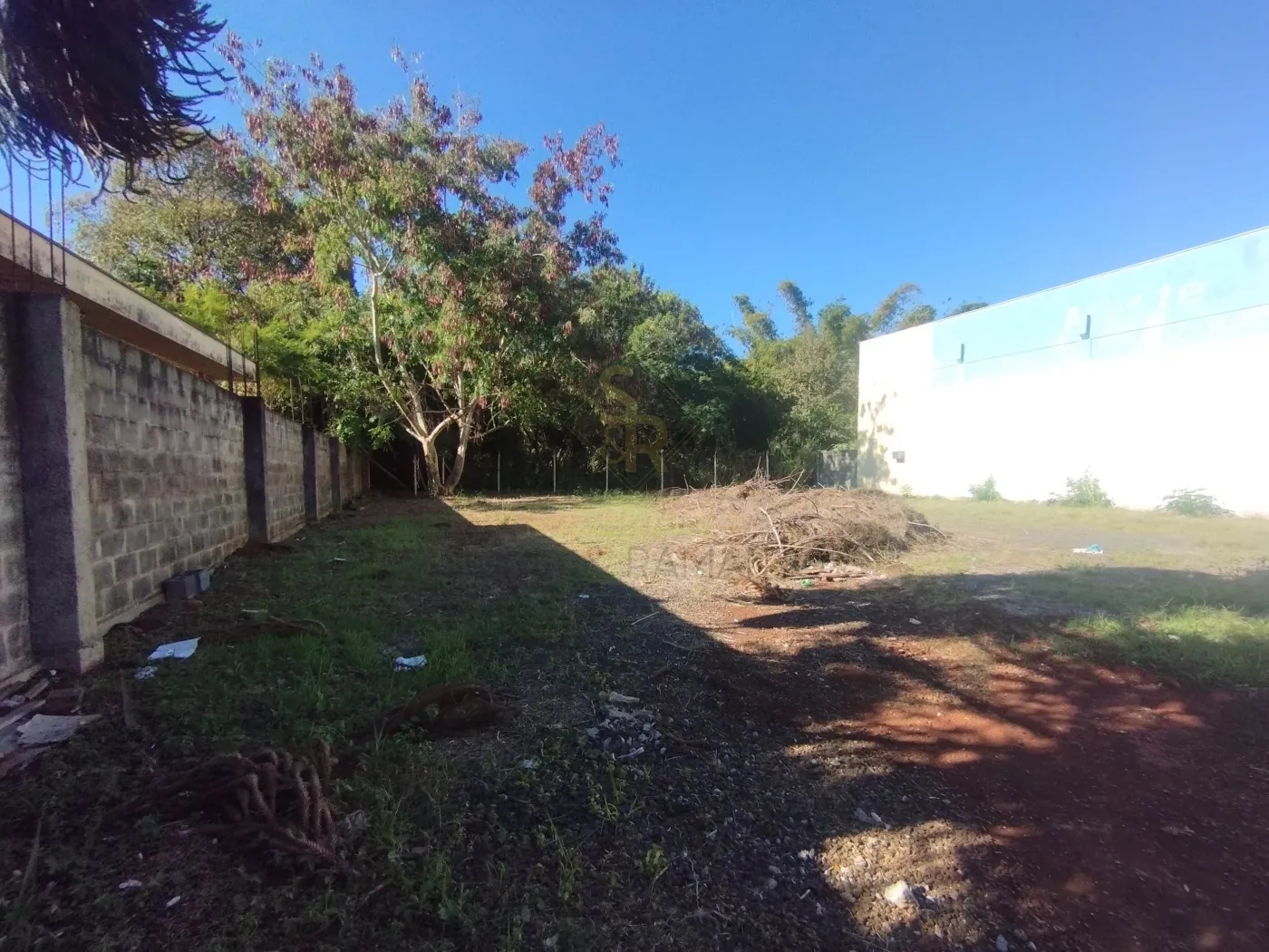 Alugar Terrenos / LoteTerreno em Ribeir&atilde;o Preto R$ 1.750,00 - Foto 3