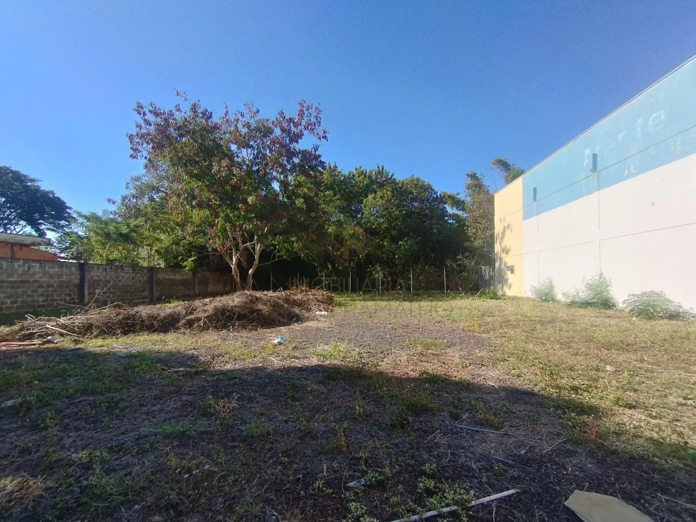Alugar Terrenos / LoteTerreno em Ribeir&atilde;o Preto R$ 1.750,00 - Foto 4