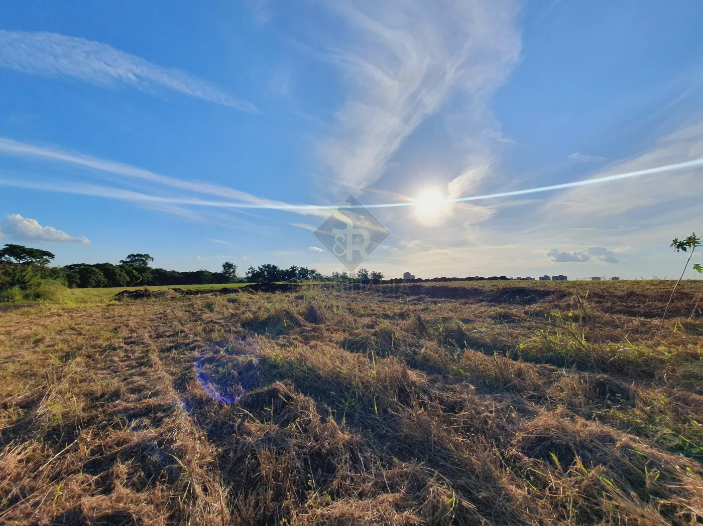 Comprar Terrenos / LoteTerreno em Bonfim Paulista (Ribeir&atilde;o Preto) R$ 4.418.520,00 - Foto 1