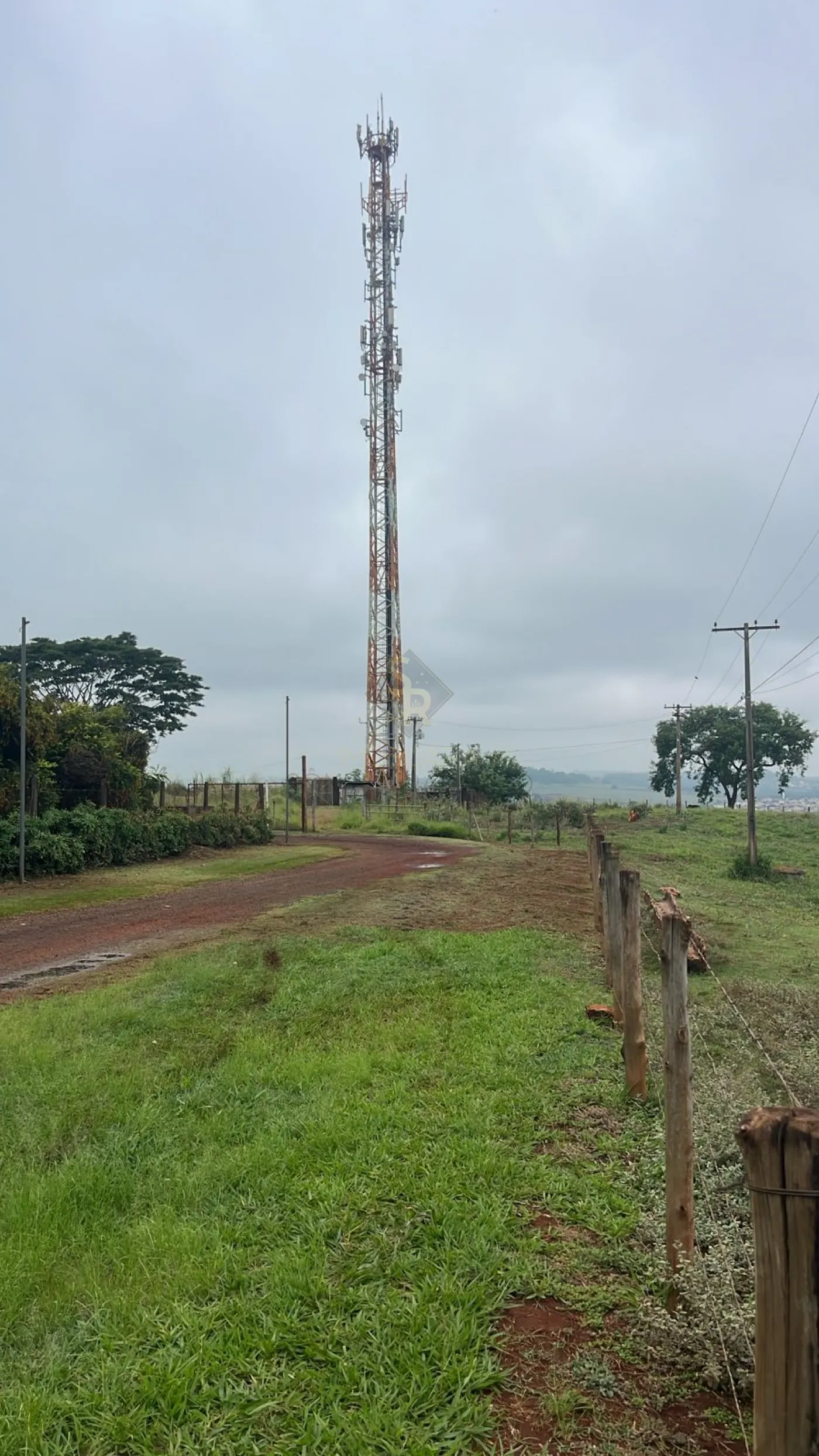 Comprar Terrenos / LoteTerreno em Bonfim Paulista R$ 24.000.000,00 - Foto 2