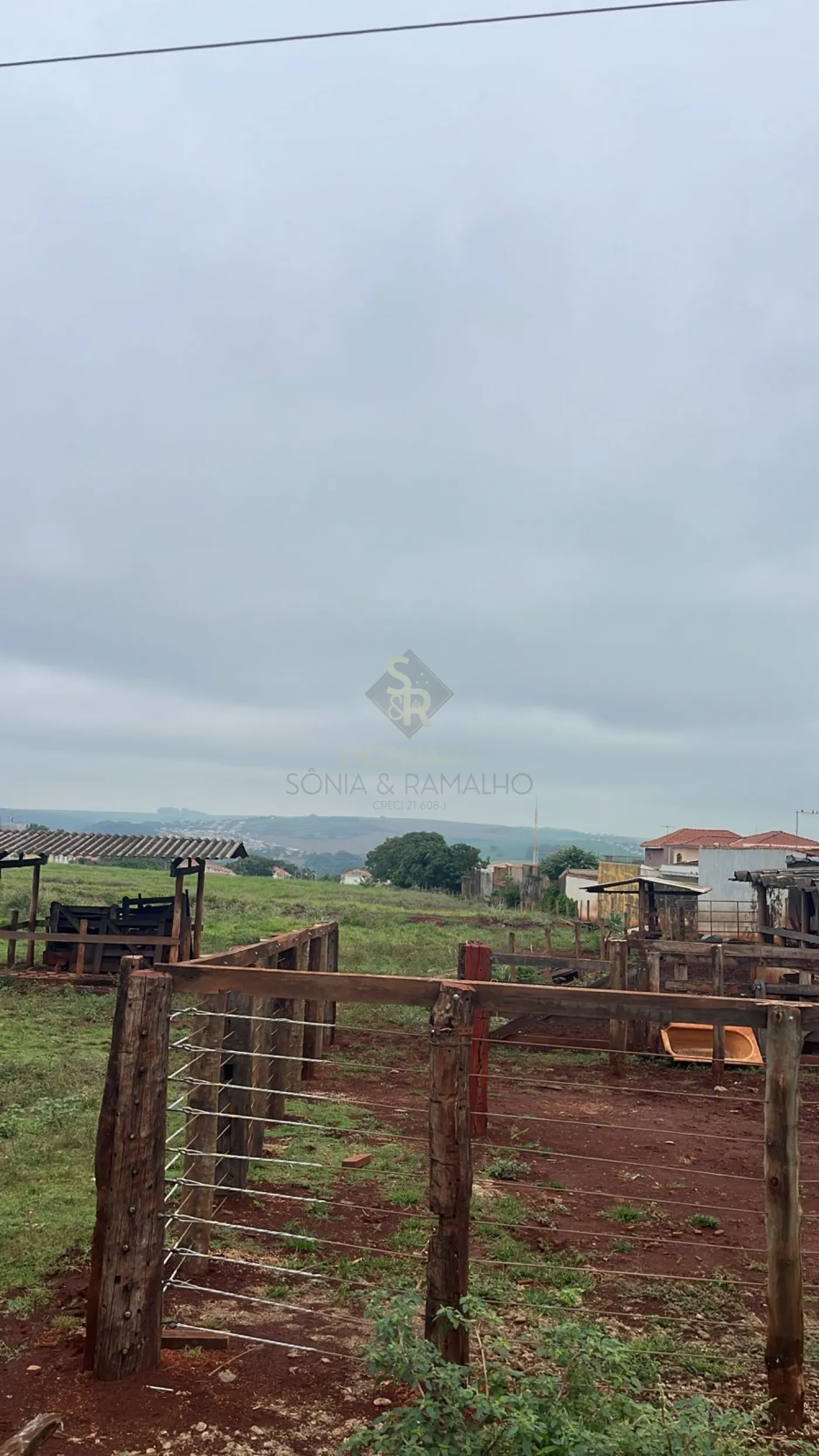 Comprar Terrenos / LoteTerreno em Bonfim Paulista R$ 24.000.000,00 - Foto 3